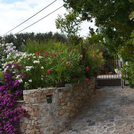 Apartment Les Moulins Saint-Tropez Dış mekan fotoğraf
