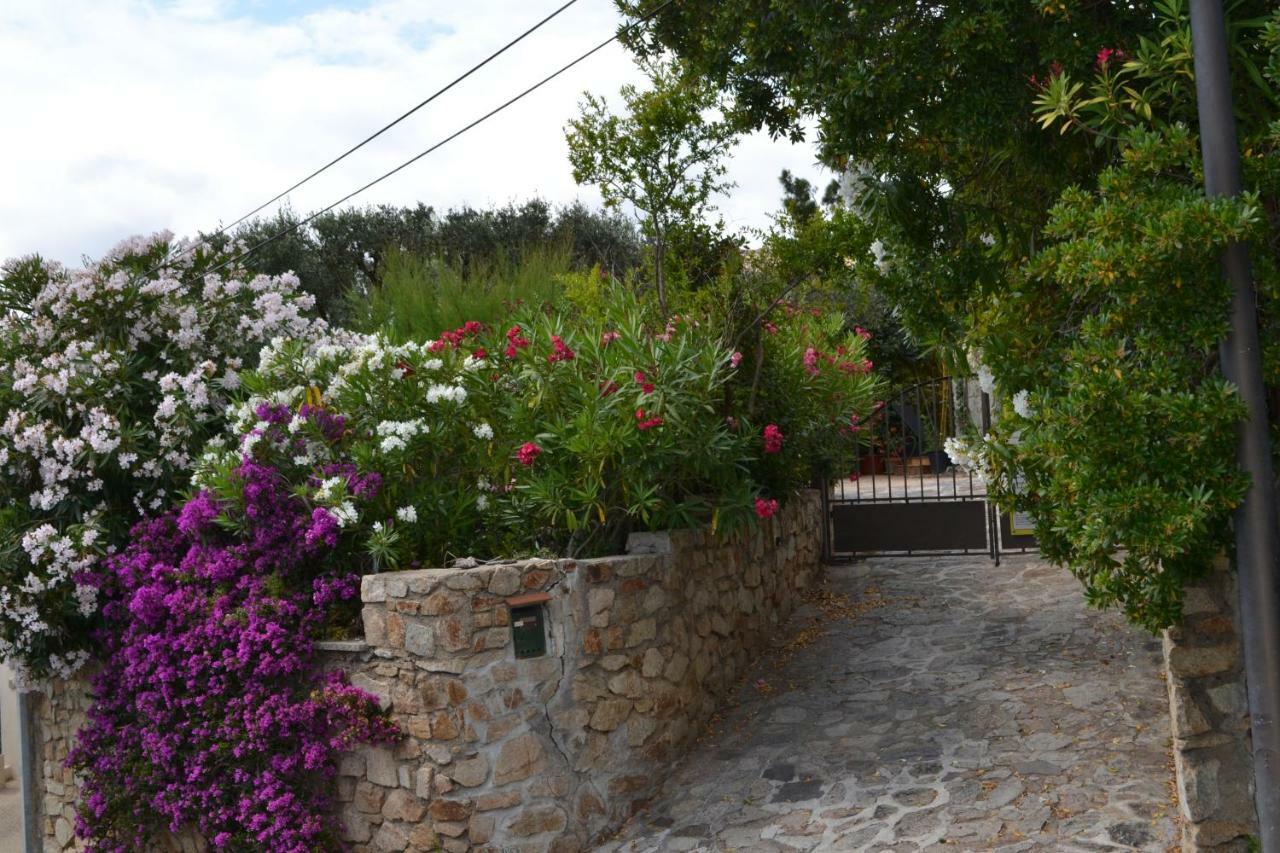 Apartment Les Moulins Saint-Tropez Dış mekan fotoğraf